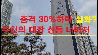 부천 지역의 대장 상동 아파트 9억에서 6억대 폭락진행중(상동효성센트럴진달래)