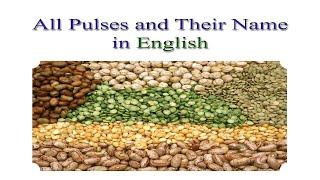 Pulses Vocabulary in English || Pulses Names in English || English Learning by Gyan