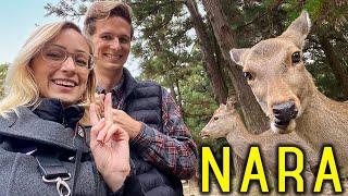 NARA surprised us! (12 things to do in Japan's original capital)