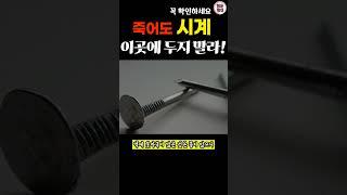 시계 죽어도 이곳은 피해라!