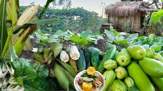 Bountiful Harvest in my Garden | The Beauty of Living Simple in the Country Side