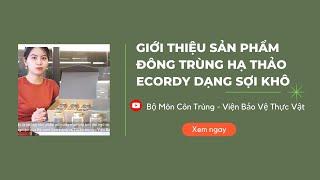 Giới thiệu Đông trùng hạ thảo Ecordy Viện bảo vệ thực vật sợi khô