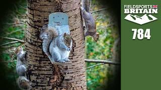 Fieldsports Britain – Firestarter squirrel shoot