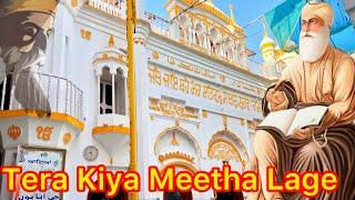 Tera Kiya Meetha Lage | Gurdwara Baba Nanak Shah Daharki | Gurbani Shabad | Pakistan Gurdwara |
