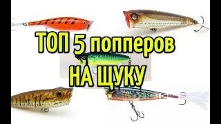 Топ 5 лучших попперов для ловли щуки. Лучшая приманка на щуку