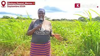 Mamou/Dounet  : KUMPITAL est allé à la rencontre de Mariama Ciré CAMARA, agricultrice,gérante de