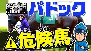 【パドックの見方】プロが危険馬の見極め方を伝授！元同僚の獣医師と語るパドック新常識！【競馬予想】