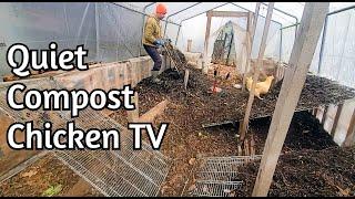 Chicken TV - Happy Thanksgiving!