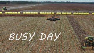 What a BUSY day on the COTTON farm!