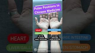 Pulse Positions in Chinese Medicine