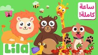 1 Hour of Animal Songs for Kids  Lila TV