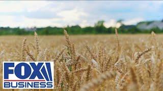 'How America Works': Working with wheat