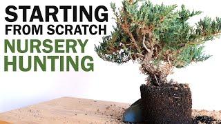 Bonsai Nursery Hunting - Starting from Scratch