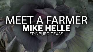 Meet a Farmer | Texas Cabbage