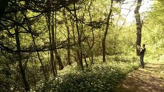 Castle Eden Dene Walk