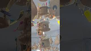 Bird nest sale