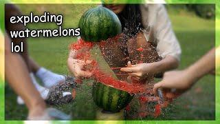 i tried exploding a watermelon with rubber bands (vlog)