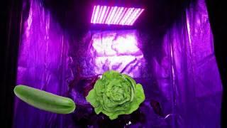 GrowAce.com - 14w Advance Spectrum LED Grow Light Hydroponics GrowAce.com