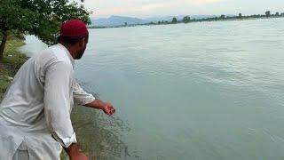 New fishing at indus river fishing with perfect bread 2024 |  EP 186