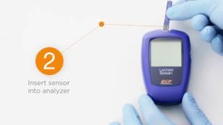 Lactate Scout+ EN  Lactate Analyzer from EKF Diagnostics