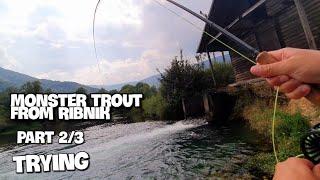 Fly Fishing in Bosnia  | Ribnik | Monster trout Part 2 - Trying