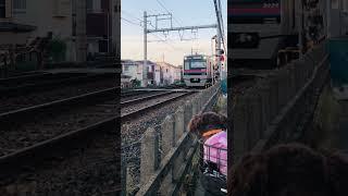 #shorts #japan #train #railway #trending #satisfying #viral #awesome #amazing #dog #sakurabelle