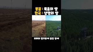 전 세계가 놀란 숲 누가 만들었을까?