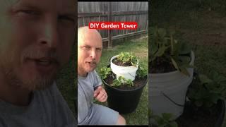 DIY GARDEN TOWER - Cheap Vertical Garden Setup - Growing Strawberries