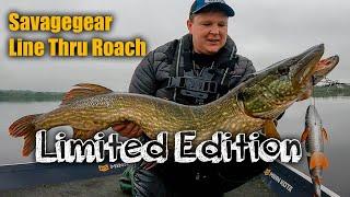 The best just got better - Savagegear Line Thru Roach