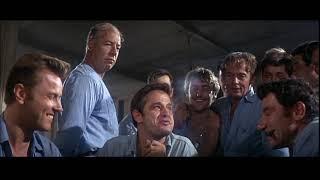 "Sometimes nothing can be a real cool hand." Cool Hand Luke (HIGH QUALITY)