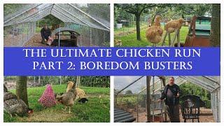 The Ultimate Chicken Run: Part 2 Enrichment & Boredom Busters