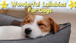 Super Relaxing Music For Dogs And Puppies  Calm Your Dog Within Minutes