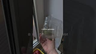 Миллениалы придумали осознанное потребление. А наши бабушки и дедушки живут так всю жизнь 