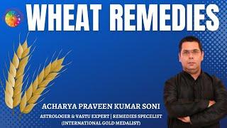 Wheat Remedies By @Acharypraveenkumarsoni