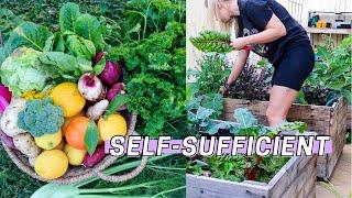 10 Ways to Become More SELF-SUFFICIENT Right NOW!