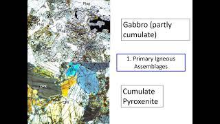 John Foden - Orogenesis terminated by mafic underplate delamination at prior passive rift margins...