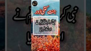 Hadees Pak  | Hadees Sharif ️ | Hadith in Urdu | Hadees Mubarak Islamic #shorts #hadees #short