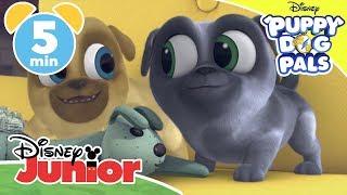 Puppy Dog Pals | Top 5: Bingo And Rolly Save The Day  | Disney Kids