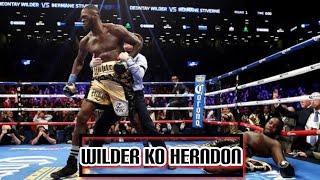 Deontay Wilder vs Tyrrell Herndon Highlights | Boxing Highlights