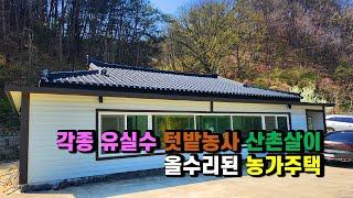 #올수리된시골집 #봉화농가주택매매 #봉화토지매매 경북 봉화군 상운면 올수리(대수선)된 농가주택매매, 유실수 관리 및 하우스 텃밭농사 시골땅시골집매매, 산촌살이주택 (봉화-2399)