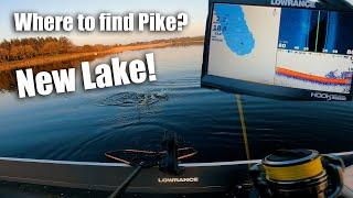 How I find Pike on a new lake - Pike fishing