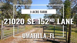 21020 SE 152ND Lane, Umatilla, Florida 3 acre Farm