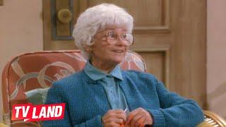 Every Shady Pines Story  Best Moments of Sophia | Golden Girls