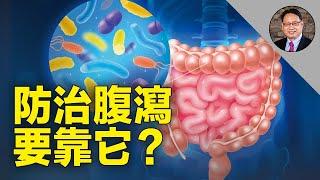  5种腹泻应对措施! 揭示益生菌防治腹泻的正确使用时机!