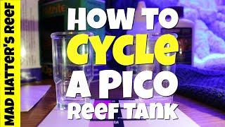 HOW TO: Cycle A Pico Reef Tank