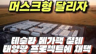 모델 y 주니퍼 테슬라. 미국, 자율주행차 사고 보고를 위한 규정 제안  테슬라 메가팩, 칠레 태양광 프로젝트에 채택 일리노이, 스쿨버스 전기화에 약 2천만 달러 지원받아