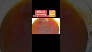 Teetest aus Ahlen  #shorts #youtubeshorts  #video #youtube #viralvideo #short #viral #video