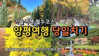 [가을여행] 양평 당일치기 드라이브코스 BEST6 /서울근교 여행추천/ 용문사 은행나무 세미원 칸트의마을 더그림 / 양평카페 양평맛집 /월간유리소리