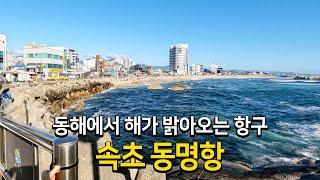 동해에서 해가 밝아오는 항구 속초 동명항의 모든 것