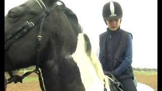 REITEN und ZUCHT-Video: „Hinaufschmeißen“